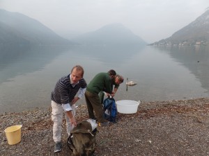 Volontari sul lago del Ceresio